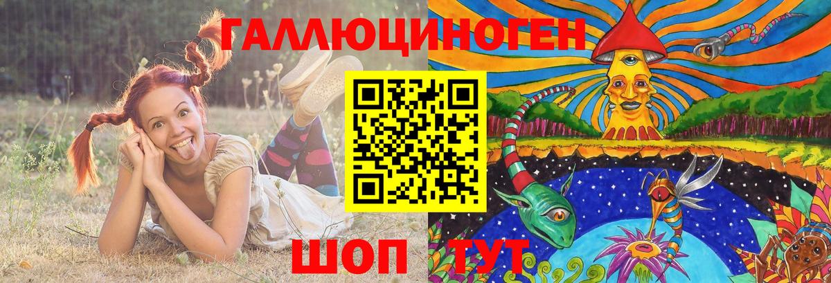 Псилоцибиновые грибы мицелий Балахна