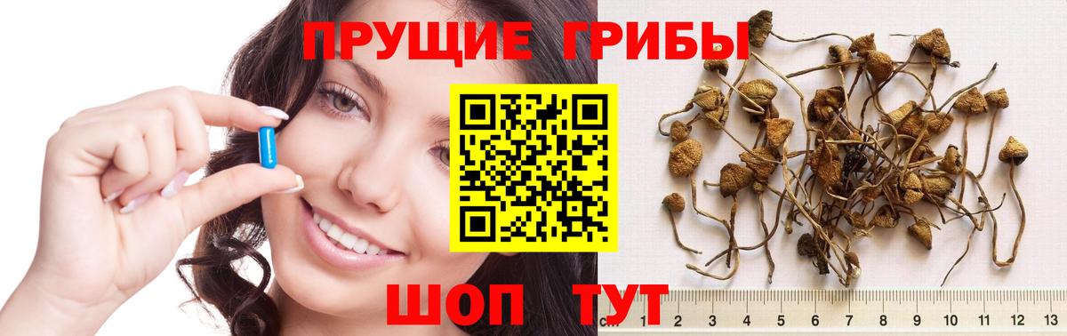 Галлюциногенные грибы ЛСД  Вход с VPN  Псилоцибиновые грибы MAGIC MUSHROOMS  Балахна 
